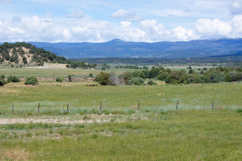 New Mexico Hunting and Cattle Ranch Price Reduced