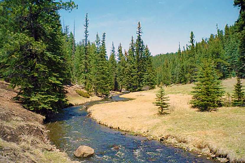 Coyote Creek Ranch New Mexico