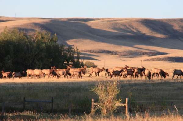 Thunder Basin Ranch - Cheyenne, WY