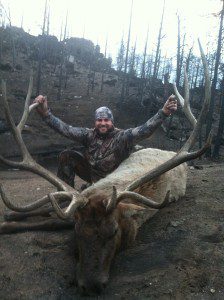 350" Wyoming Bull