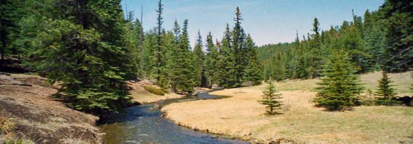 NEW LISTING – New Mexico Fly Fishing Property For Sale
