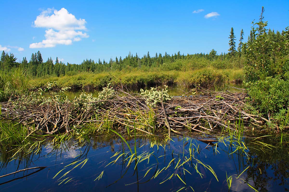 Fishing Ranches For Sale – Nymphing: The Long and The Short of It