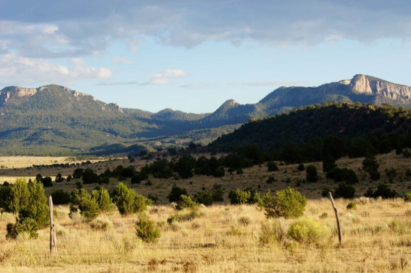 Hunting Ranches For Sale! Coyote Ranch – Pie Town, New Mexico