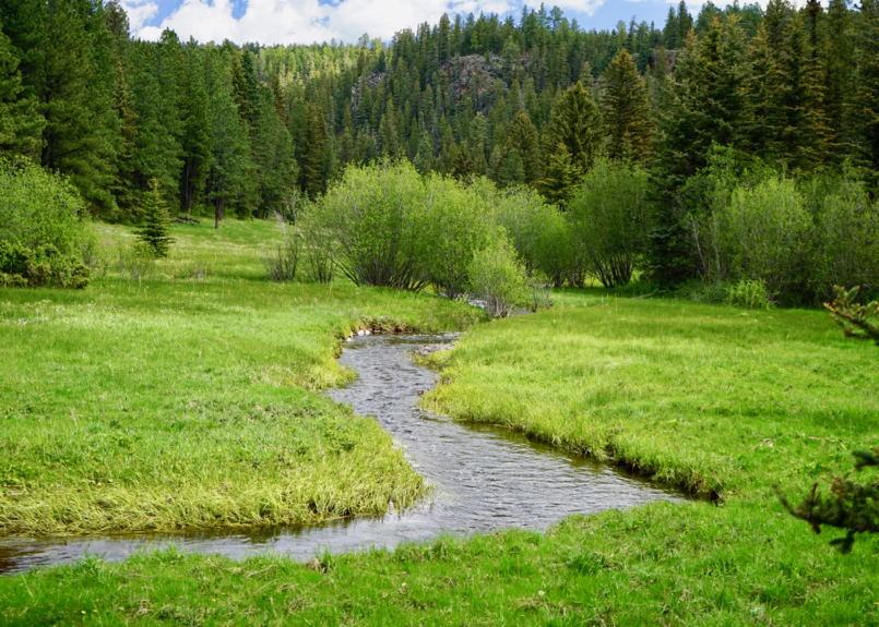 Coyote Creek Ranch