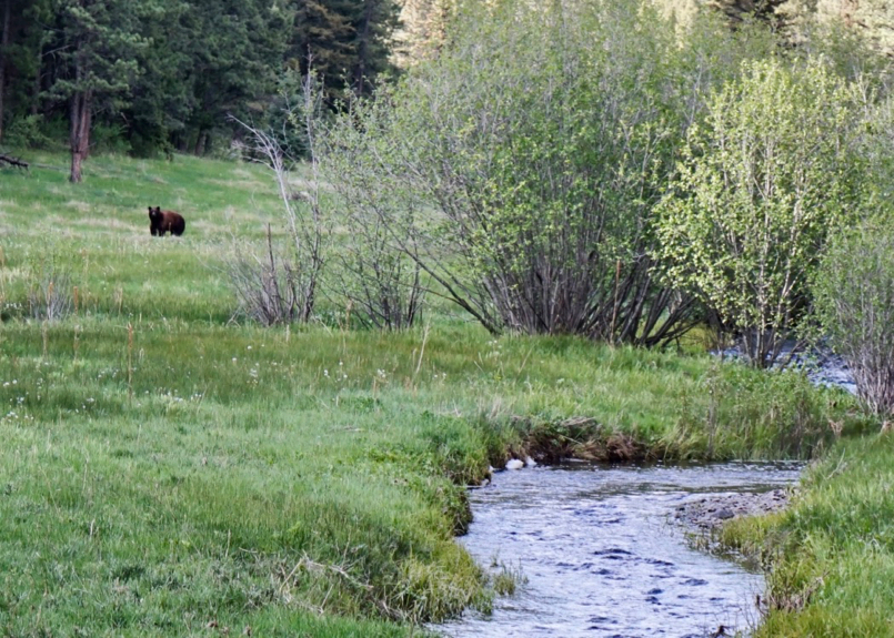 Coyote Creek Ranch New Mexico