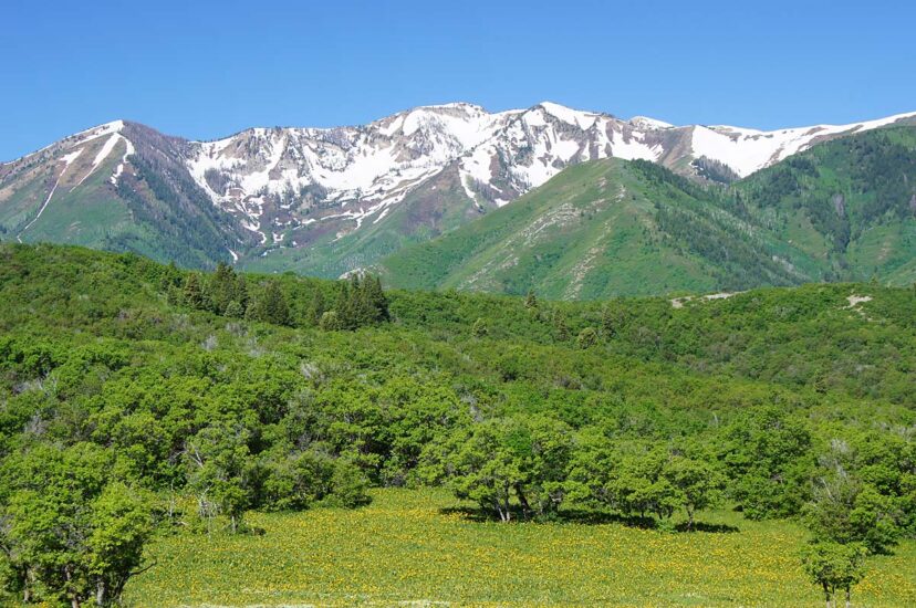 Snowpack on Colorado Ranches For Sale