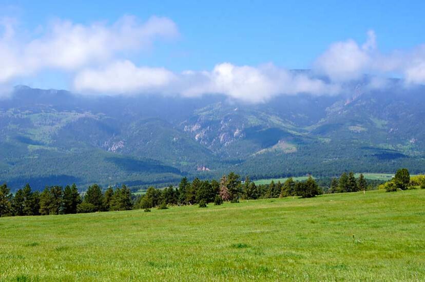 Muddy Creek Ranch