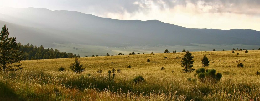 American Creek Ranch New Mexico