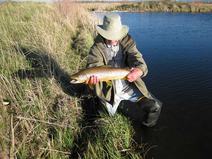 Walk Your Way to Better Fishing – Flyfishing Ranches