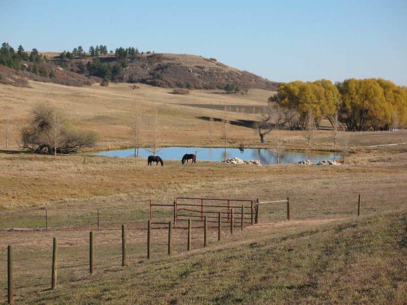 1,400 Acre Douglas County, Colorado Horse Property Sells