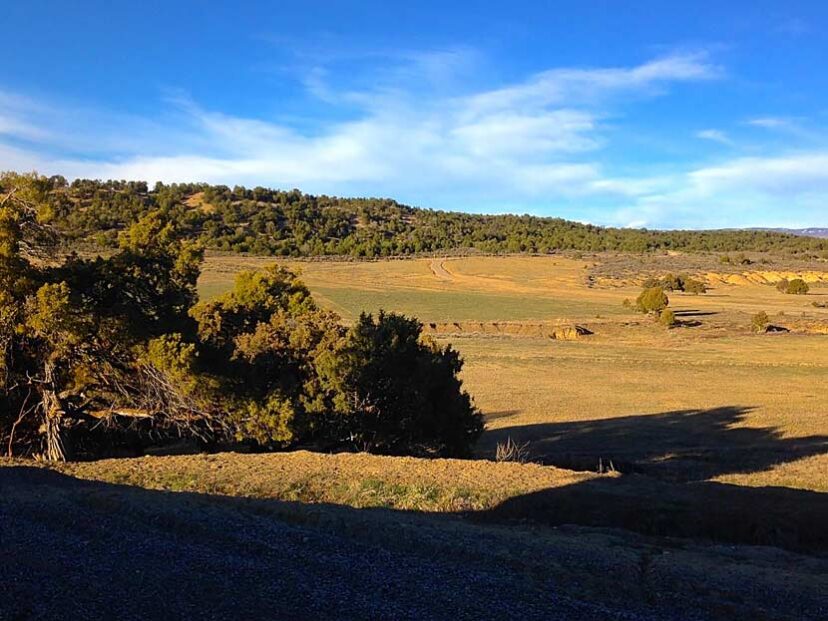NEW LISTING – New Mexico Hunting & Cattle Ranch