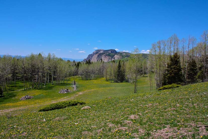 Enchanted Vista Ranch New Mexico