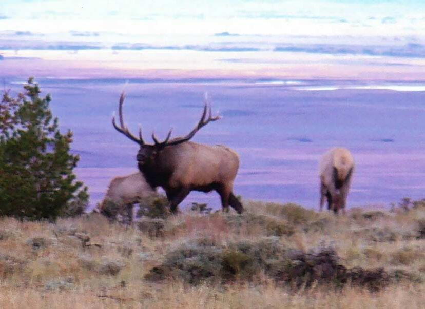 Wyoming Hunting Property Sells!