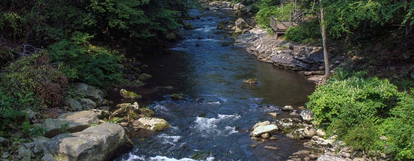 Follow the Foam Fly Fishing