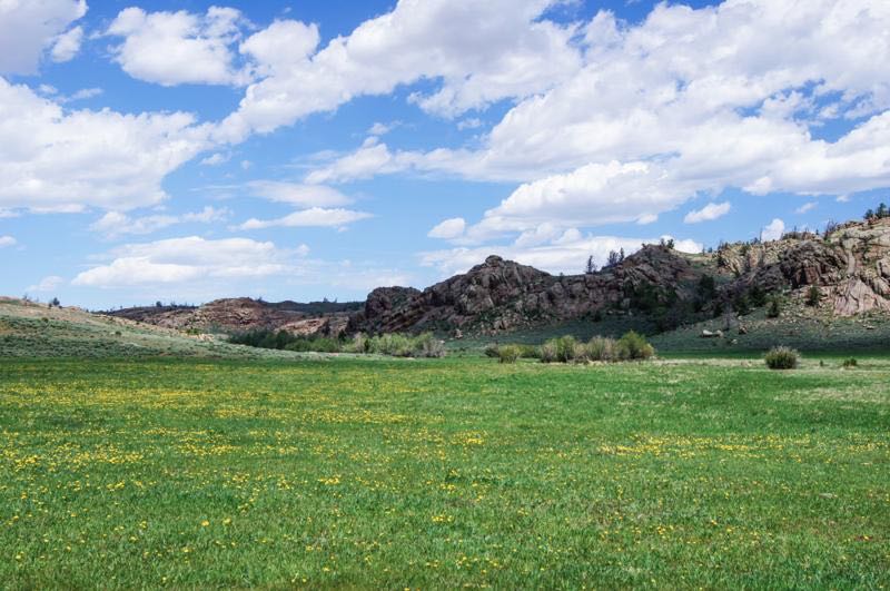 Vedauwoo Ranch