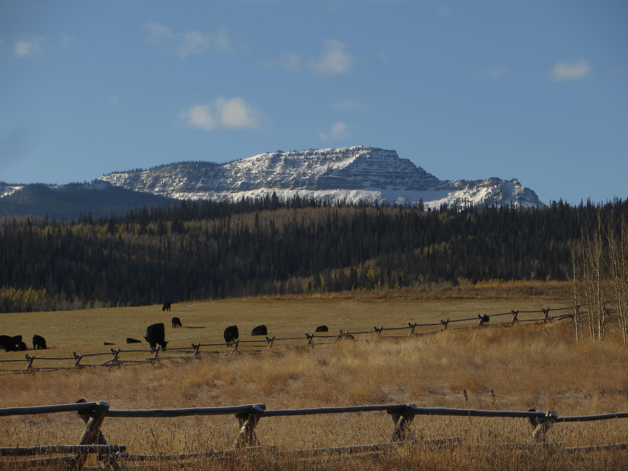 Deep Understanding of Western Ranch Market