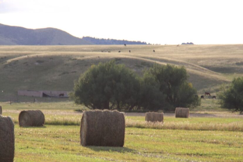 Thunder Basin Ranch