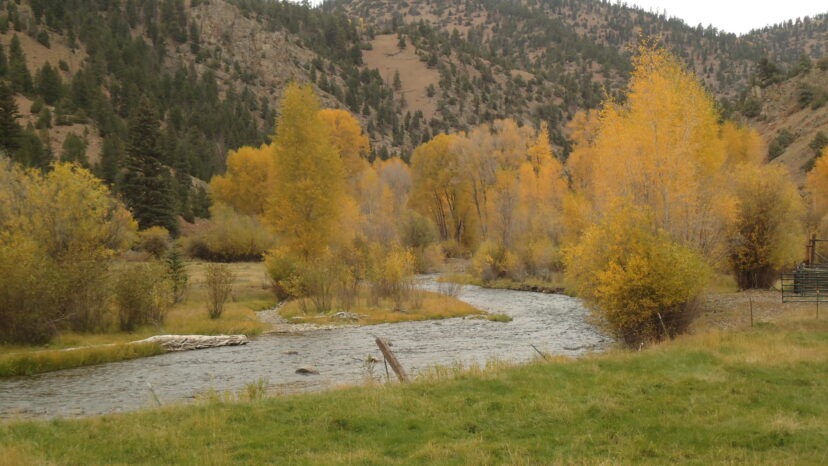 Colorado Fly Fishing Property Sells in Gunnison County, Colorado