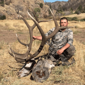 Southern Wyoming archery elk