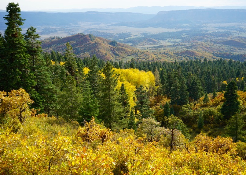 One of New Mexico’s Largest Remaining Mountain Ranches For Sale