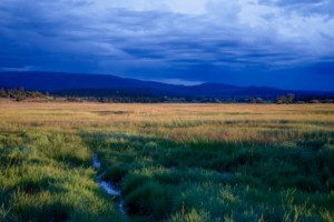 hunting properties in new mexico