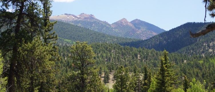 fly fishing ranches