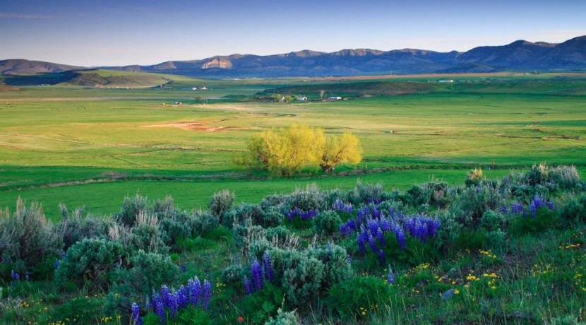 NW Colorado Ranches for Sale – Raise Cattle, Fish, Hunt – SOLD