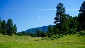 elk hunting ranches for sale