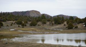 elk hunting ranches for sale