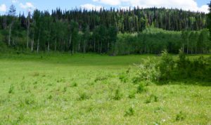 ranches for sale in colorado