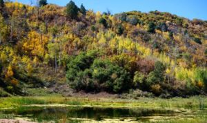 ranches for sale in colorado