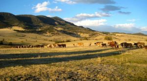 large ranches for sale