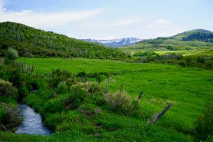 best hunting ranches in Colorado