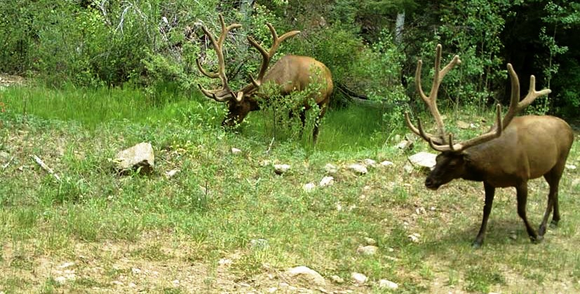 moffat county colorado ranches for sale