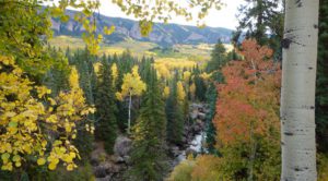 Big Cimarron River Ranch in Colorado