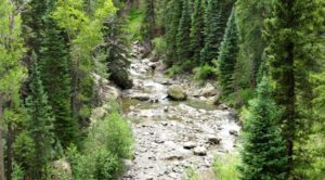 Big Cimarron River Ranch in Colorado