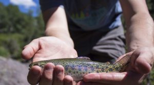 Big Cimarron River Ranch in Colorado