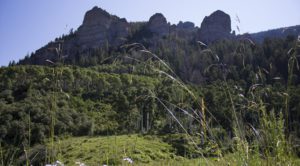 Big Cimarron River Ranch in Colorado