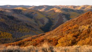 colorado ranches for sale