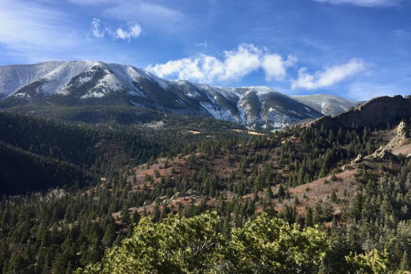 Colorado Cattle Ranches