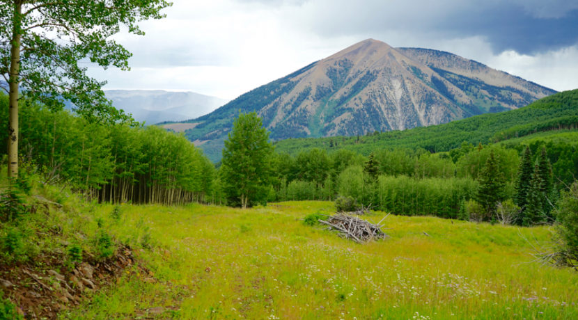 Amazing CO High Alpine Ranches for Sale in Crested Butte