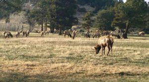 hunting ranches