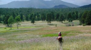 hunting ranches