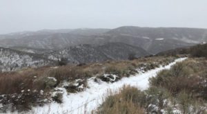 hunting land