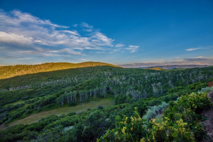 Williams Fork Mountain Ranch