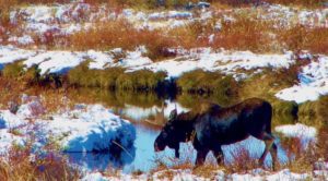 Wyoming Recreational Ranch for Sale