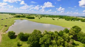 Washington Cattle Ranch for Sale