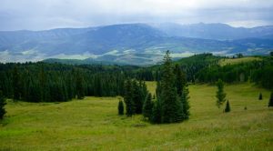 Ranches for Sale in Gunnison County