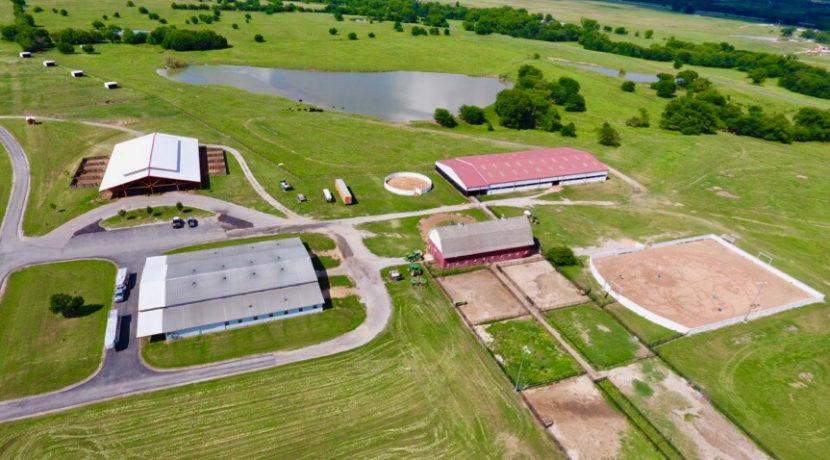 New to Cattle Ranches? Ranching Tips while You Search Land for Sale