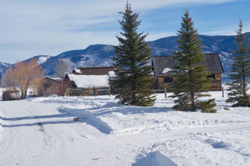 Winter Ranch Activities to Get Excited About this Season